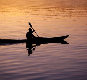 Single Kayak or Stand-Up Paddle