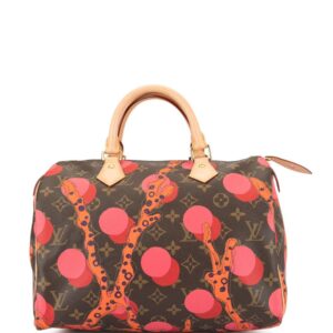 Louis Vuitton pre-owned Speedy 30 handbag - Multicolour